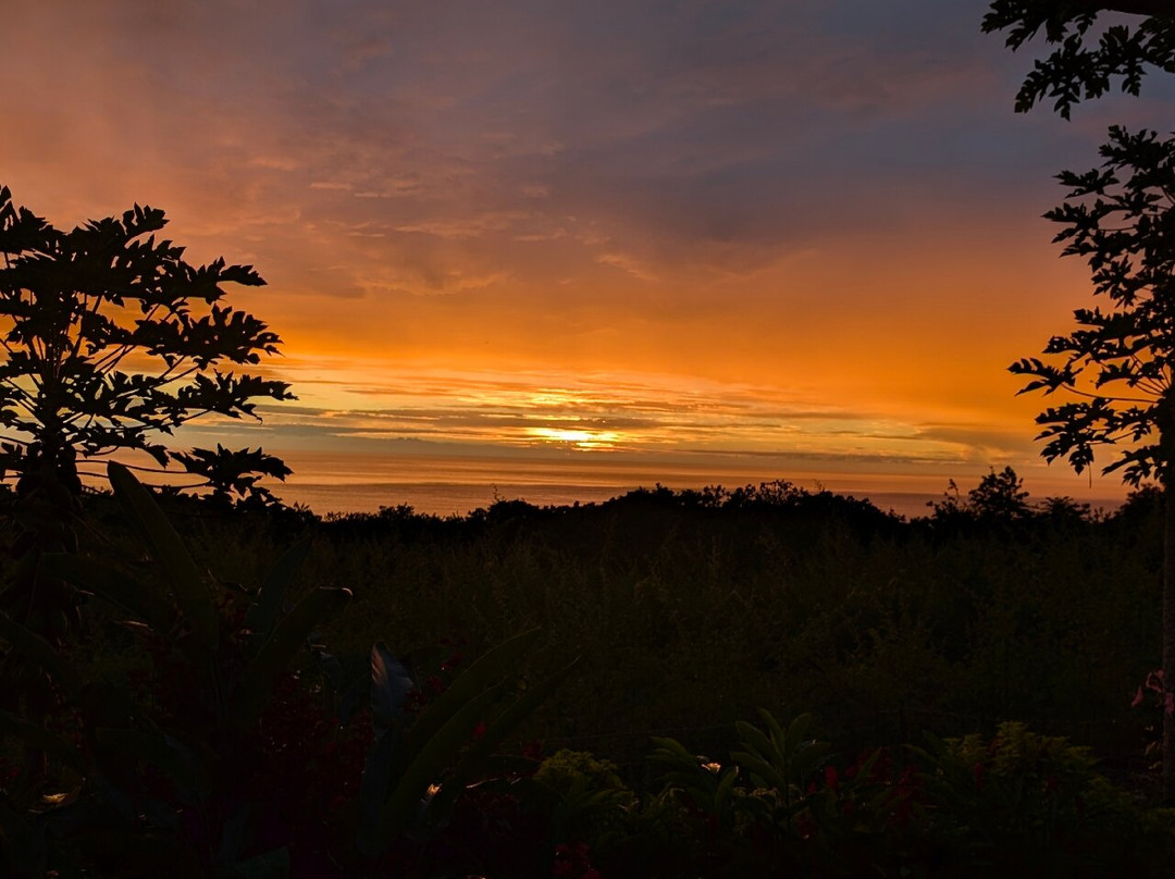 哈尔霍欧拉家庭式酒店主图
