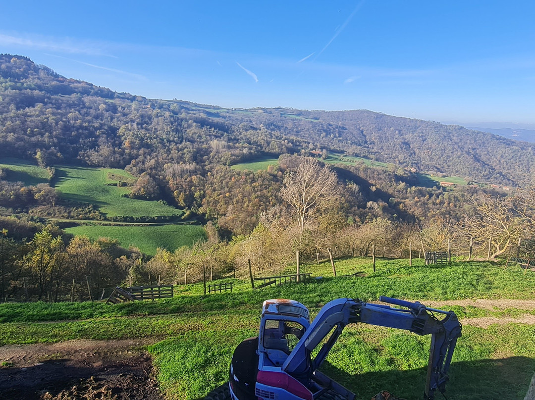 B&b Traversa Wilma