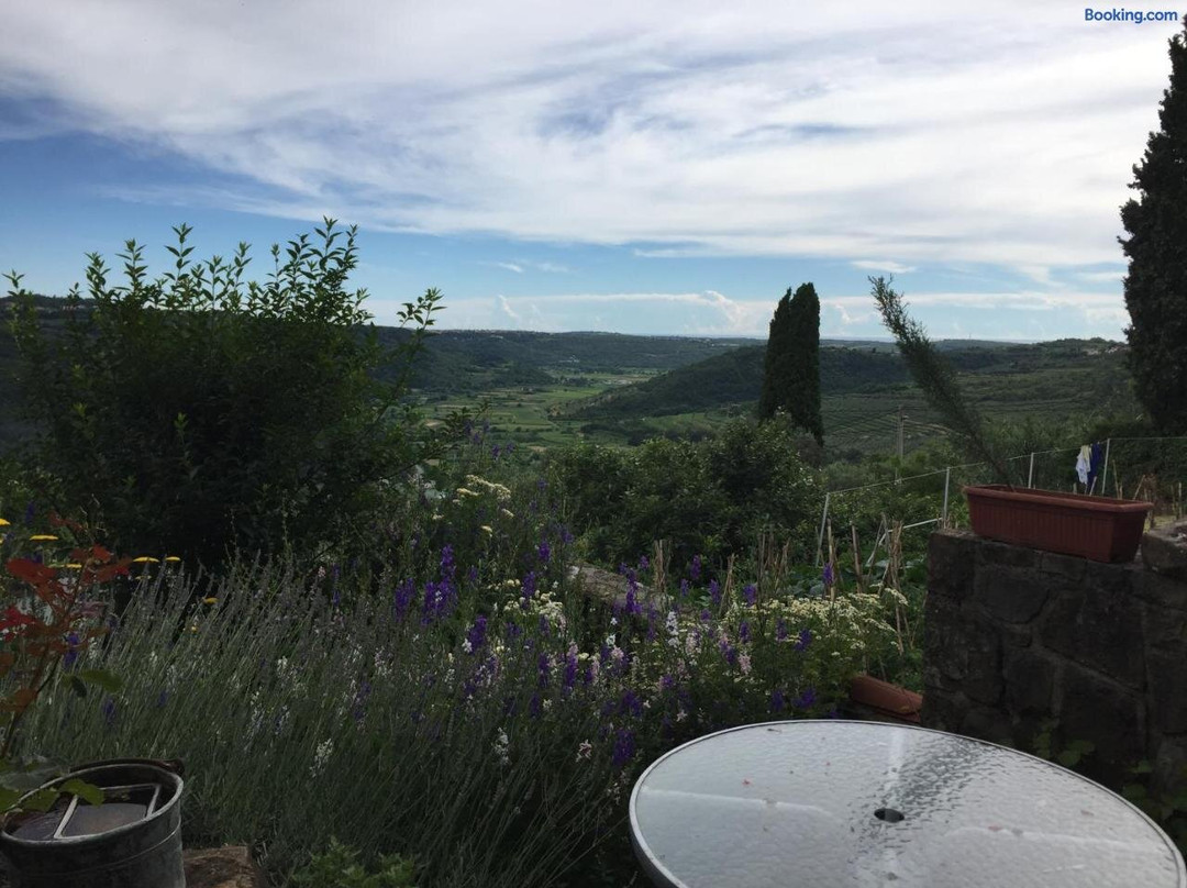 Apartments Goja Padna