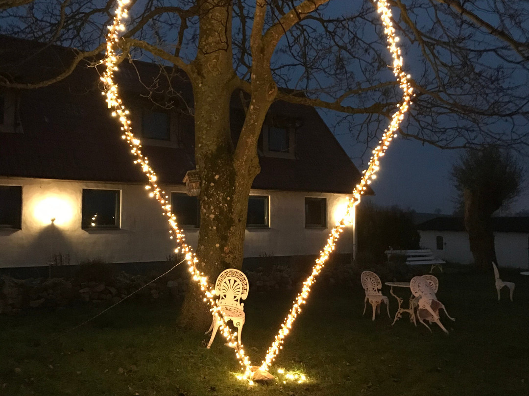 Tryde 1303 B&B På Österlen主图