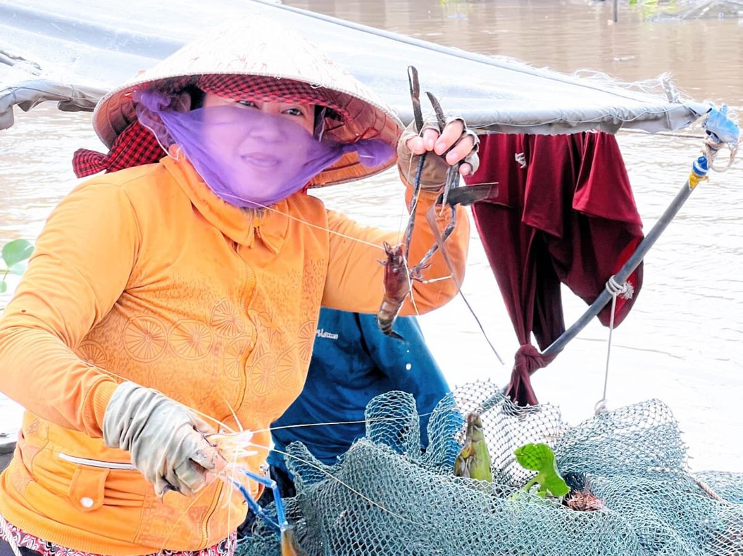 Mekong Delta Tour景点图片