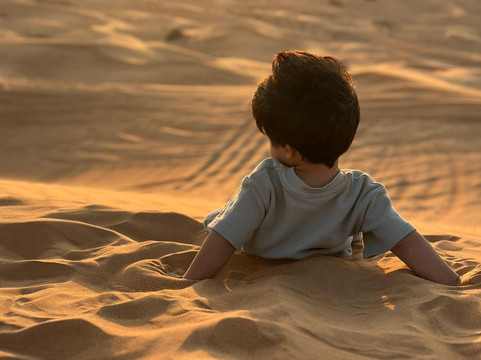 The Millennium Tours-迪拜必去景点