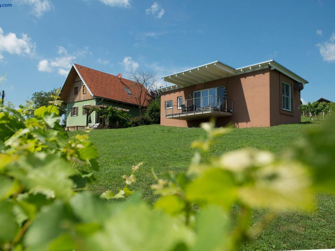 Ferienhauser im Weingarten