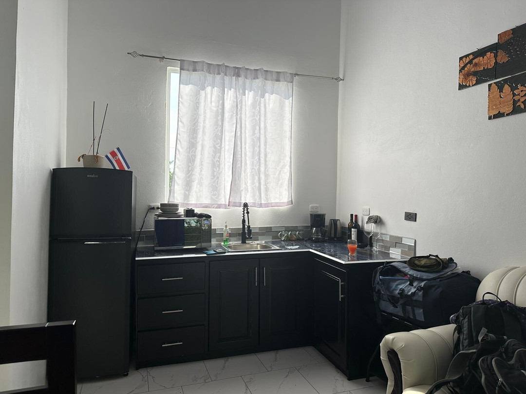 Hotel Serendipity Tortuguero主图