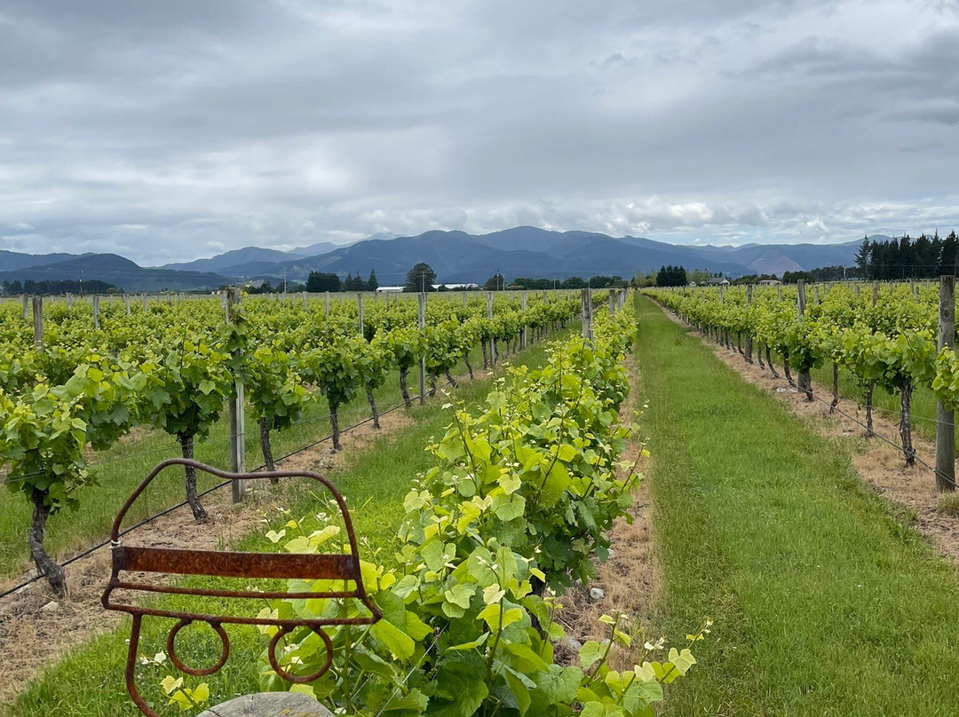 Bubbly Grape Wine Tours-布伦海姆必去景点