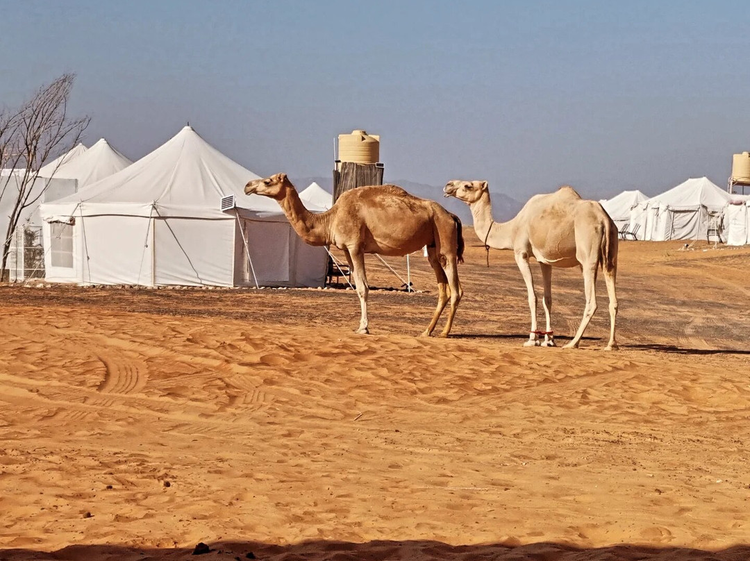 Al Sarmadi Desert Night Camp