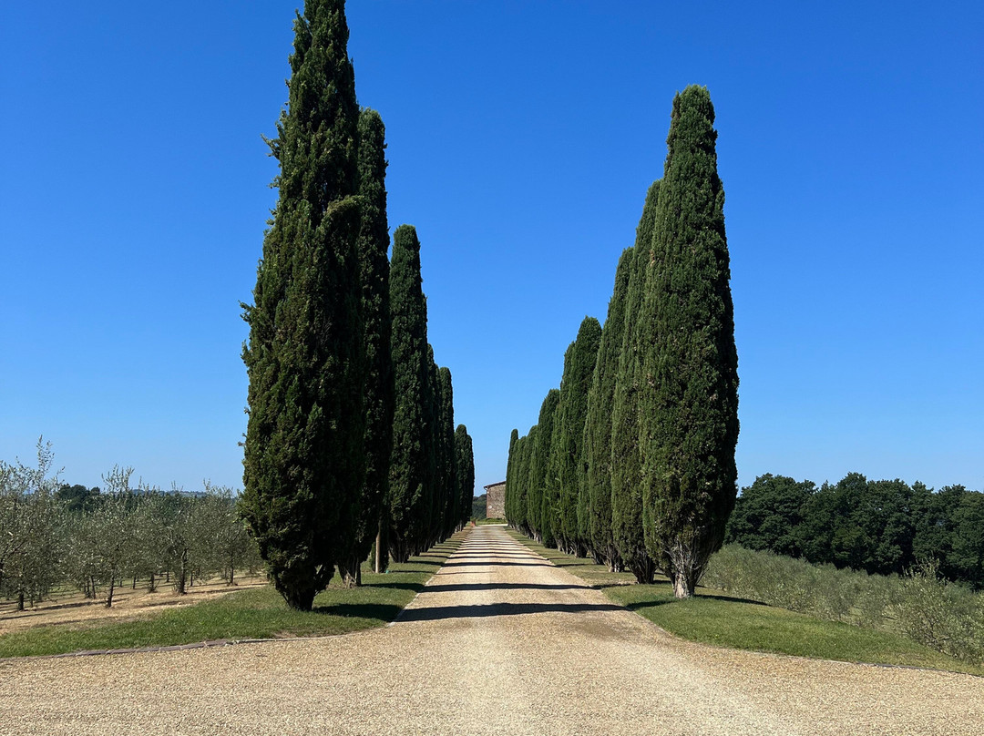 Agriturismo Casetta Firenze主图