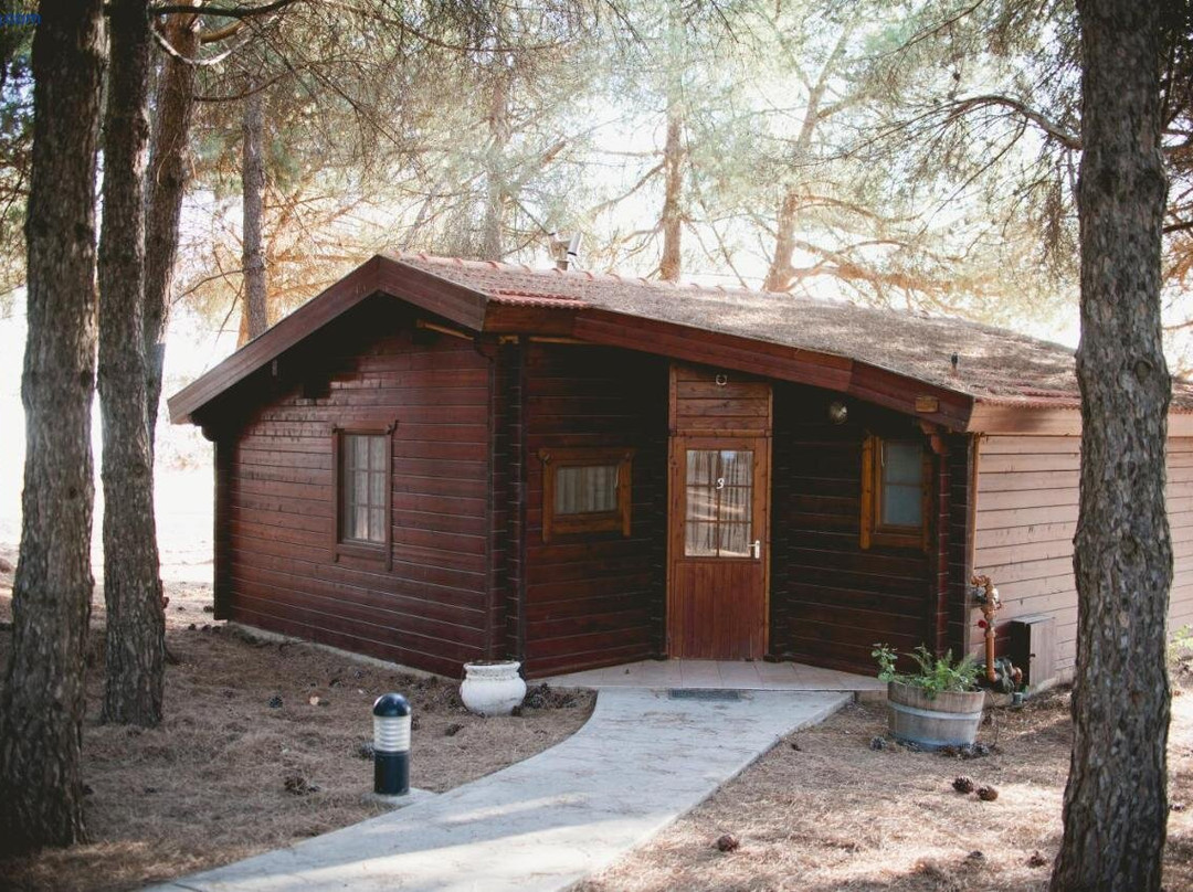 Kibbutz Ortal Tourism