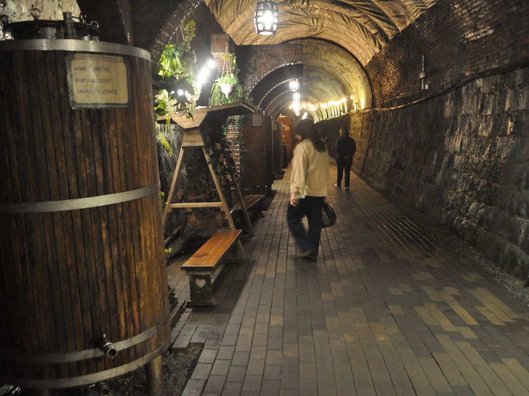 Cheongdo Wine Tunnel-清道郡必去景点