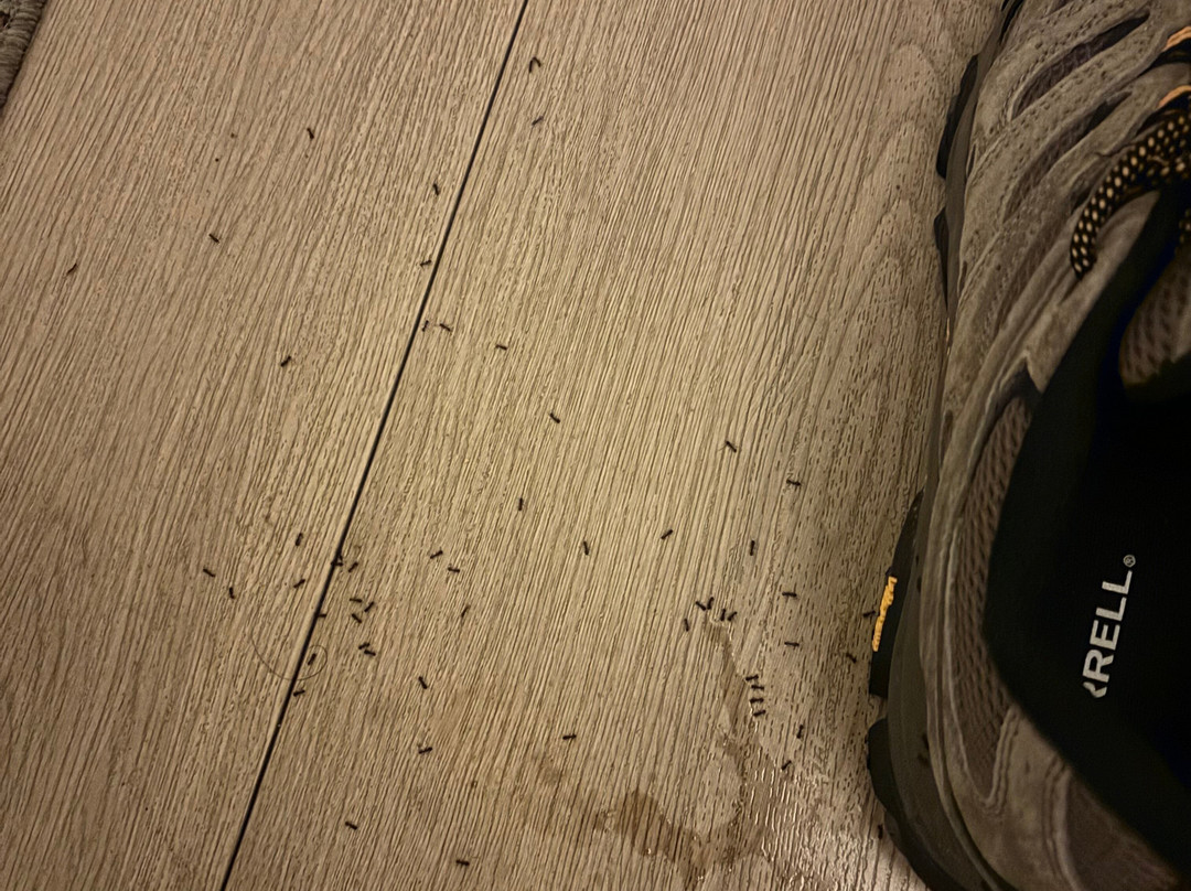 Days Inn By Wyndham Vernon主图