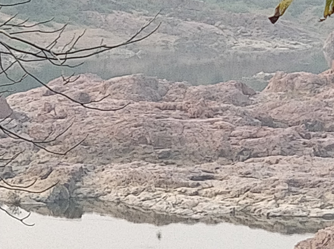 MPT Payal, Khajuraho主图