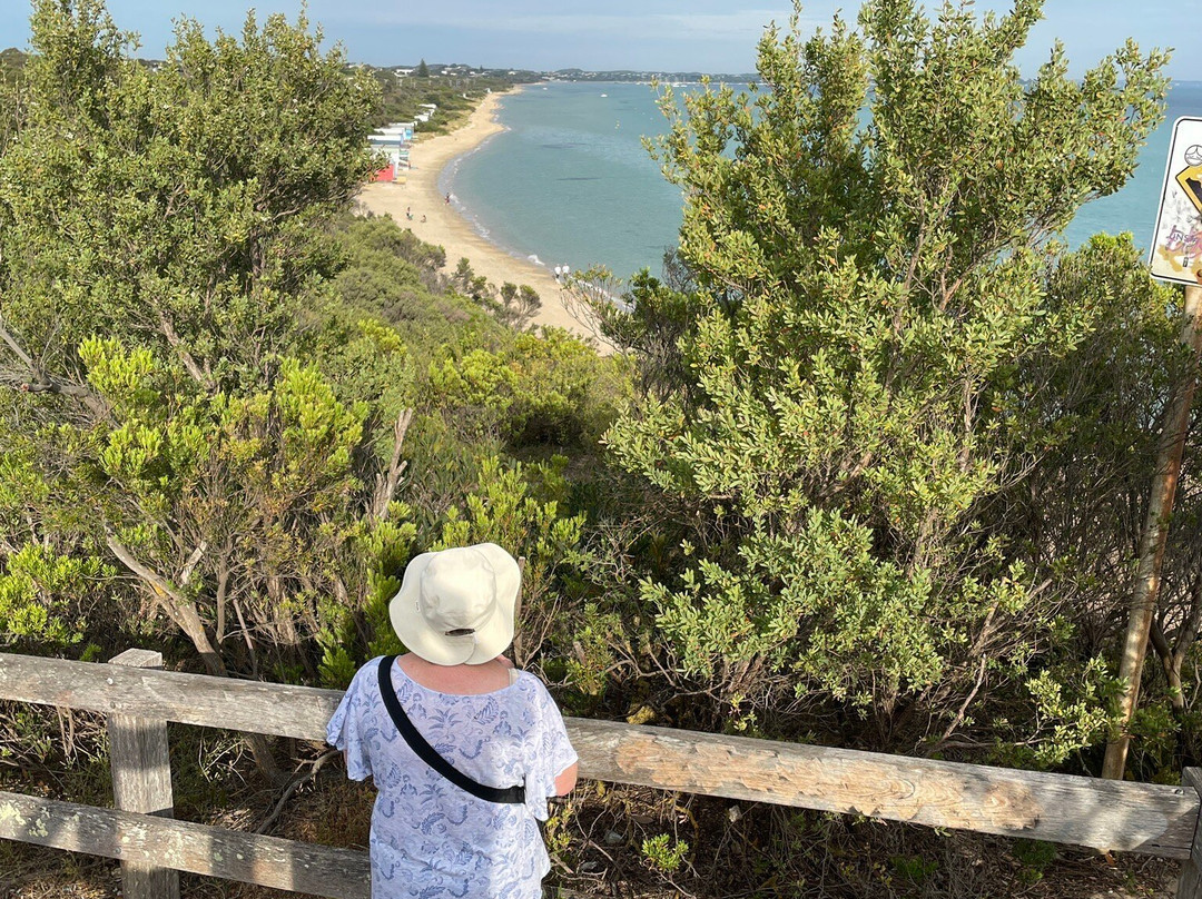 White Cliffs Lookout Rye景点图片