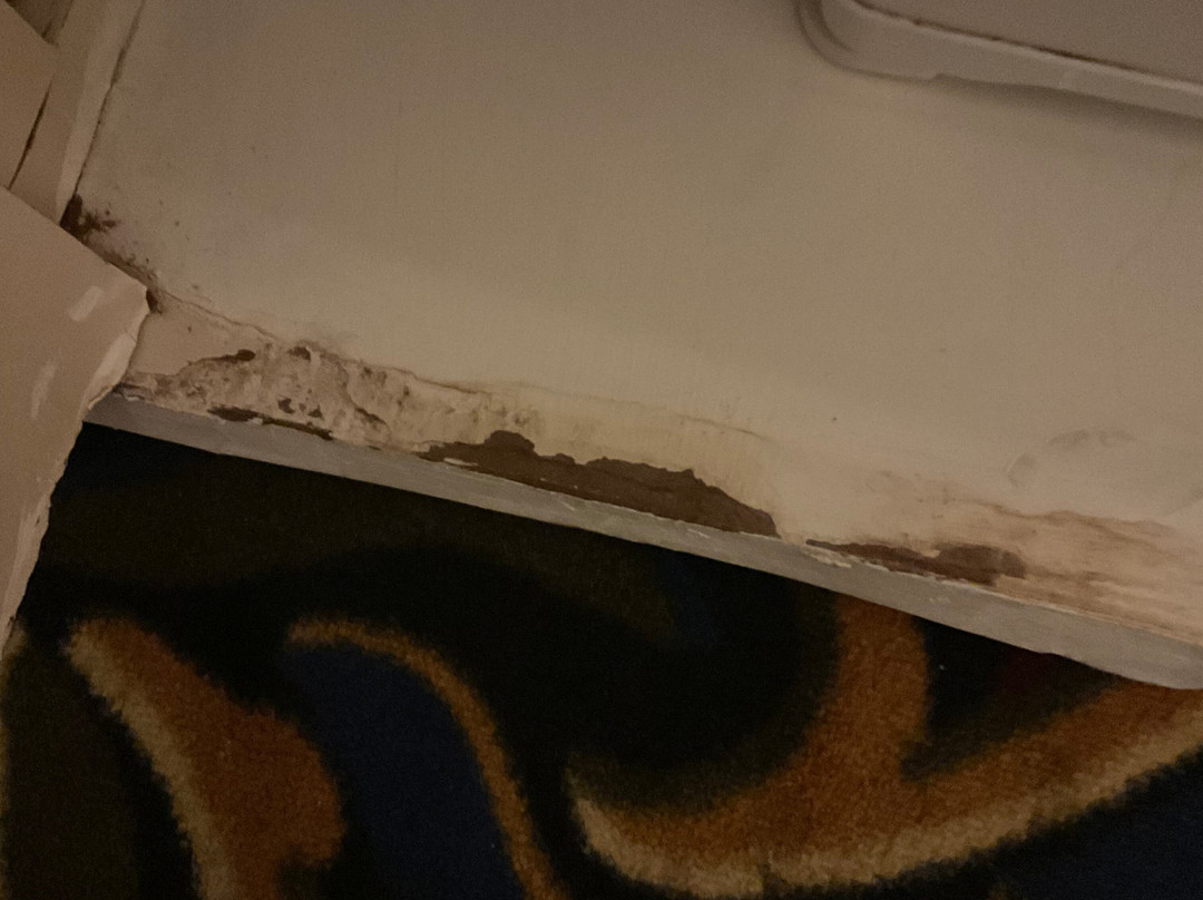 Oscar Resort Hotel主图