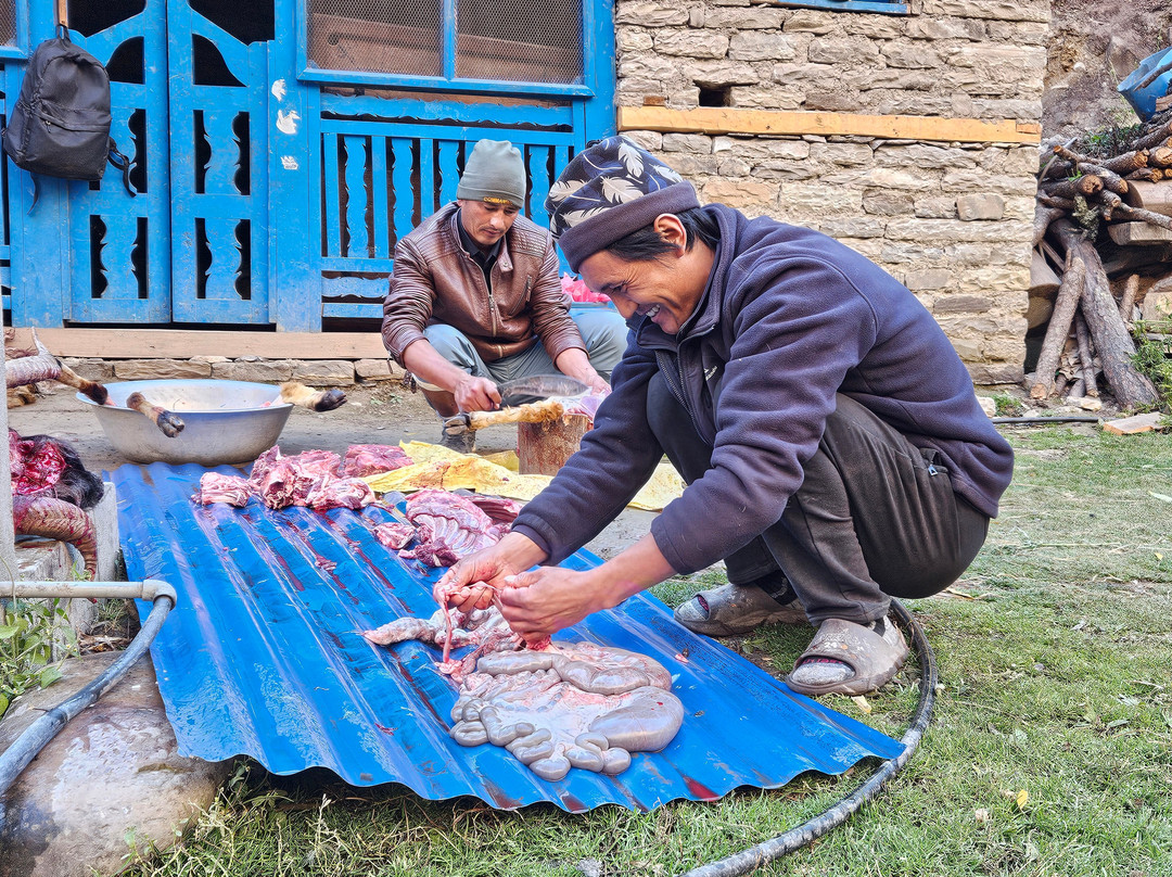 Alpine Excursion Treks and Expedition景点图片