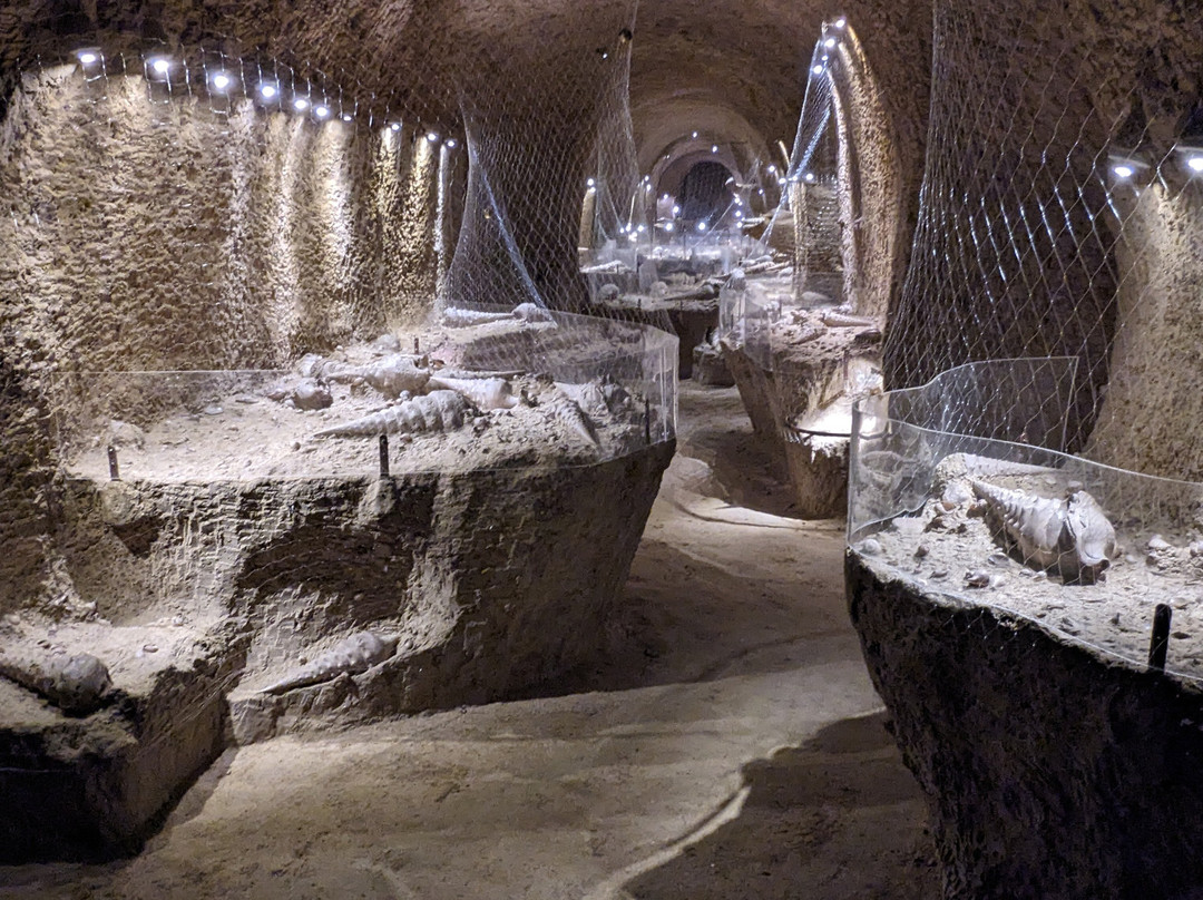 La Cave Aux Coquillages-Fleury-la-Riviere必去景点