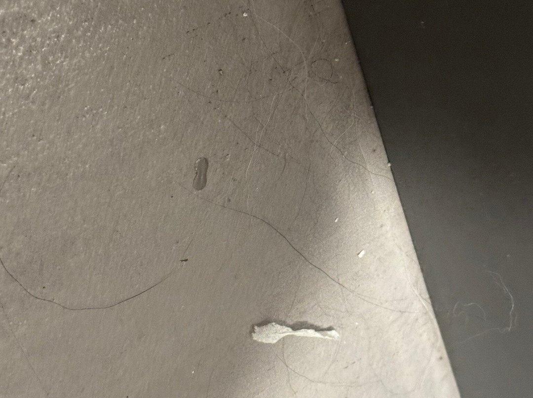 Hampton Inn & Suites Macclenny I-10主图