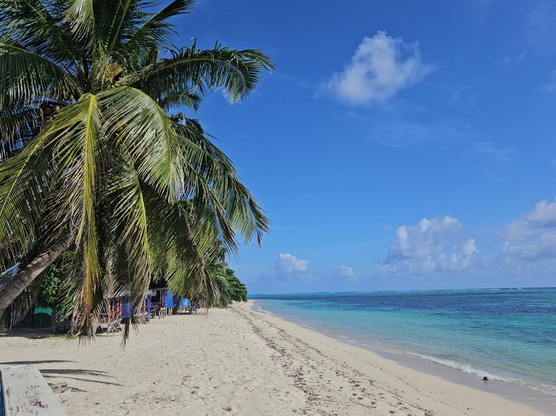Adventour Samoa-Vaitele必去景点