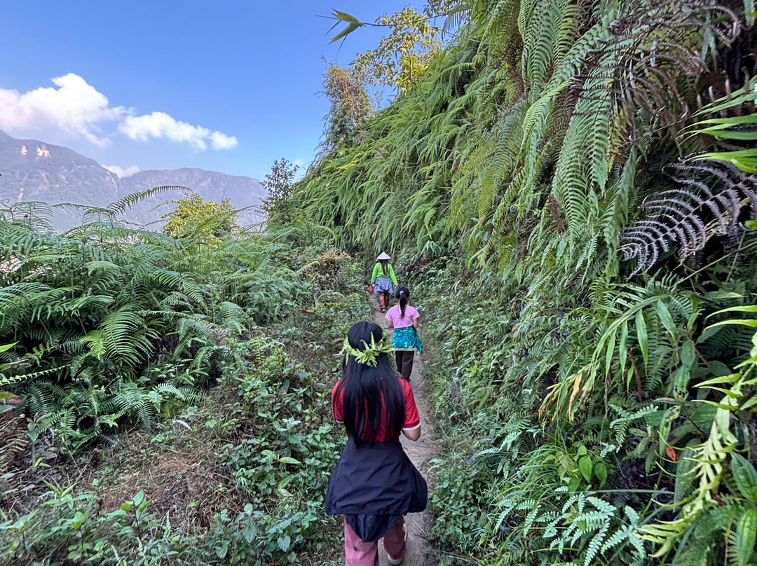 Zaazaa Trekking-沙巴必去景点