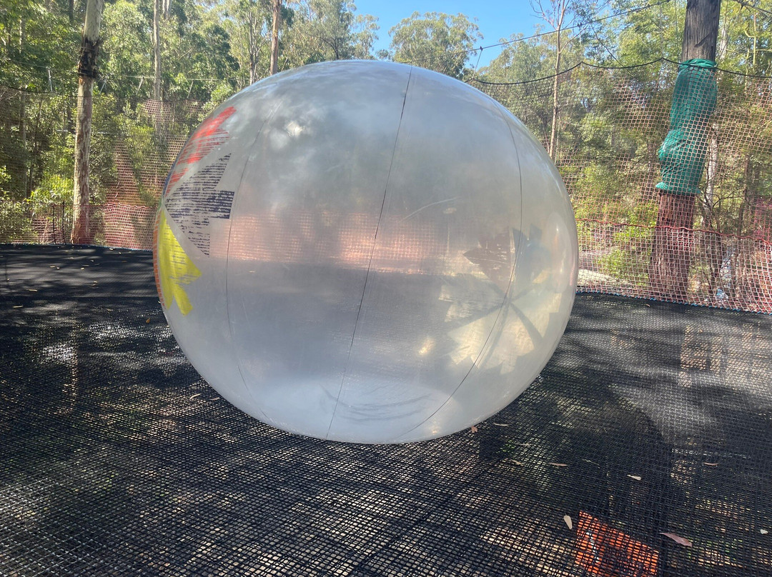 TreeTops Central Coast-怀昂溪必去景点