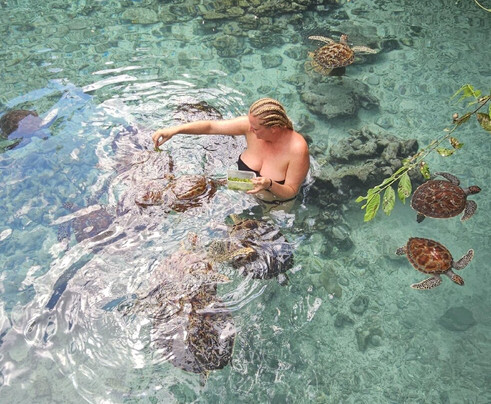 ZanhazyTours-桑给巴尔市必去景点