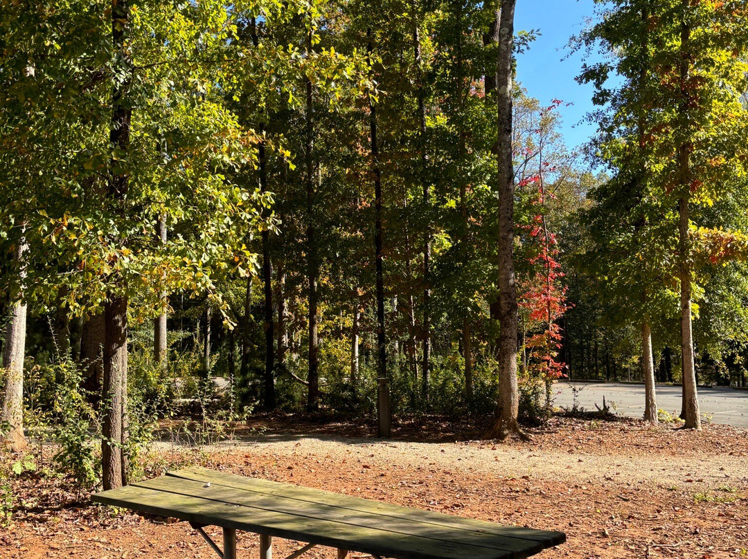 Latta Plantation Nature Center & Preserve景点图片