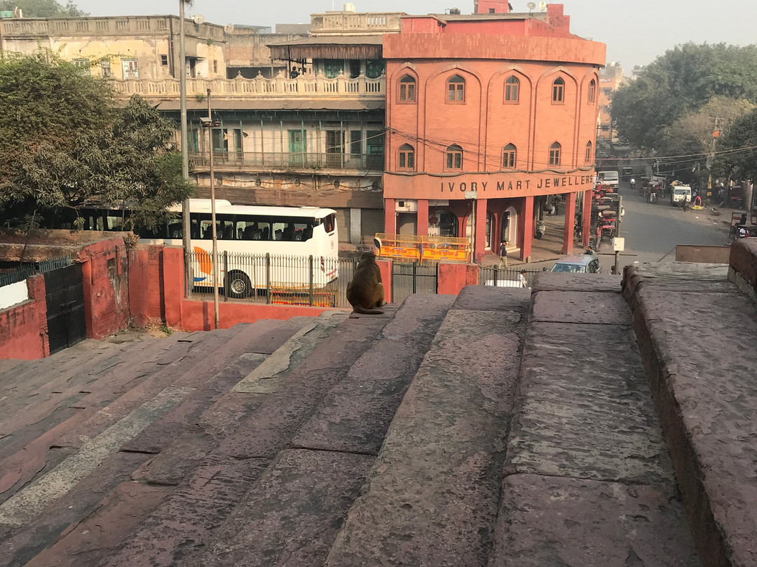 Shahi Jama Masjid景点图片