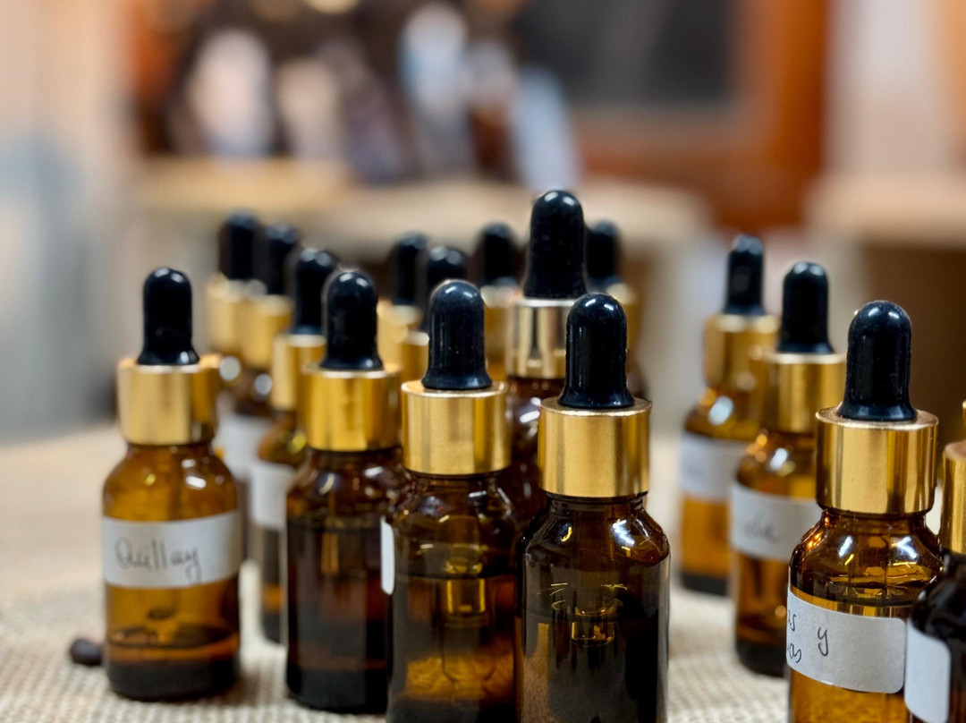 Experiencia Olfativa Crea tu Perfume景点图片