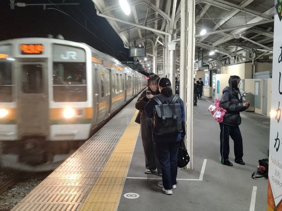 Ashikaga Station Building-足利市必去景点