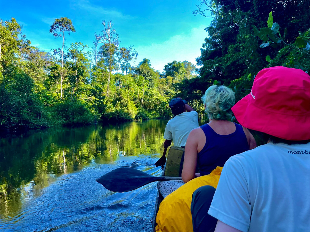 Roots Of The Amazon-Tarapoto必去景点