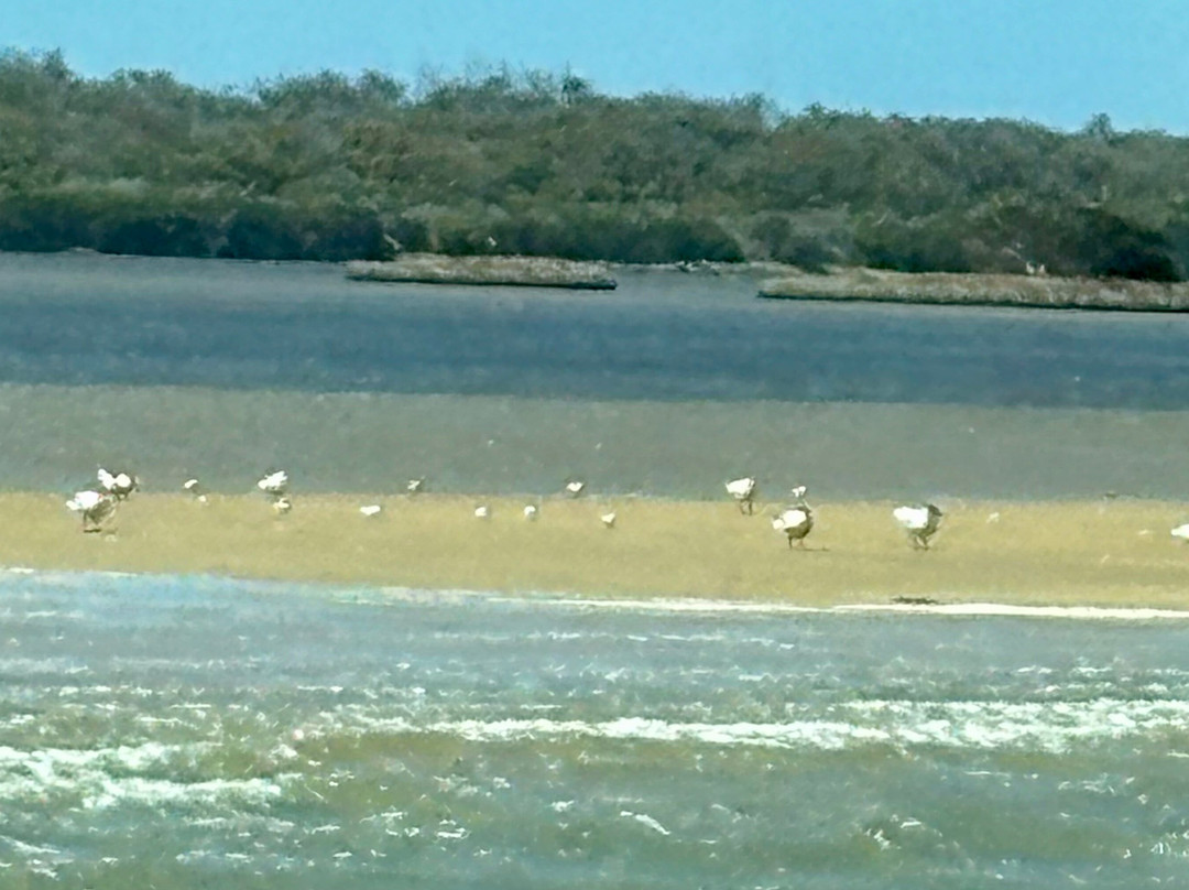 Augusta River tours景点图片