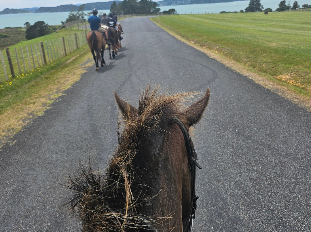 Horse Trek'n-派希亚必去景点