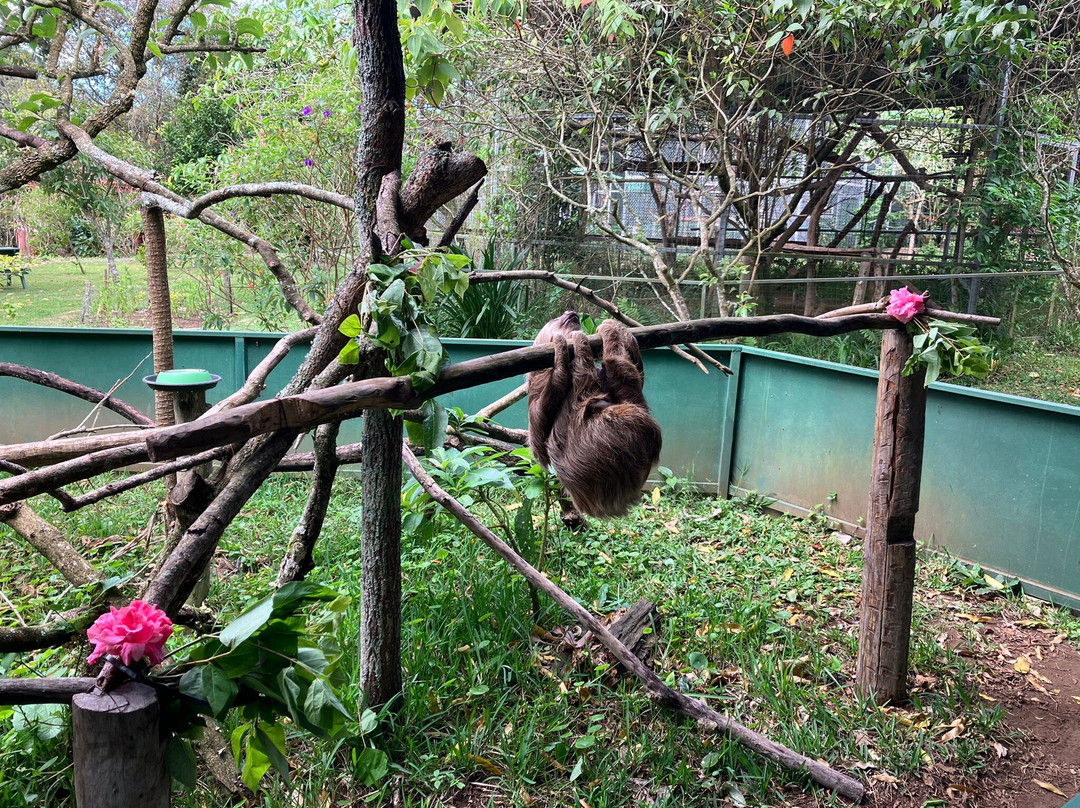 Toucan Rescue Ranch景点图片