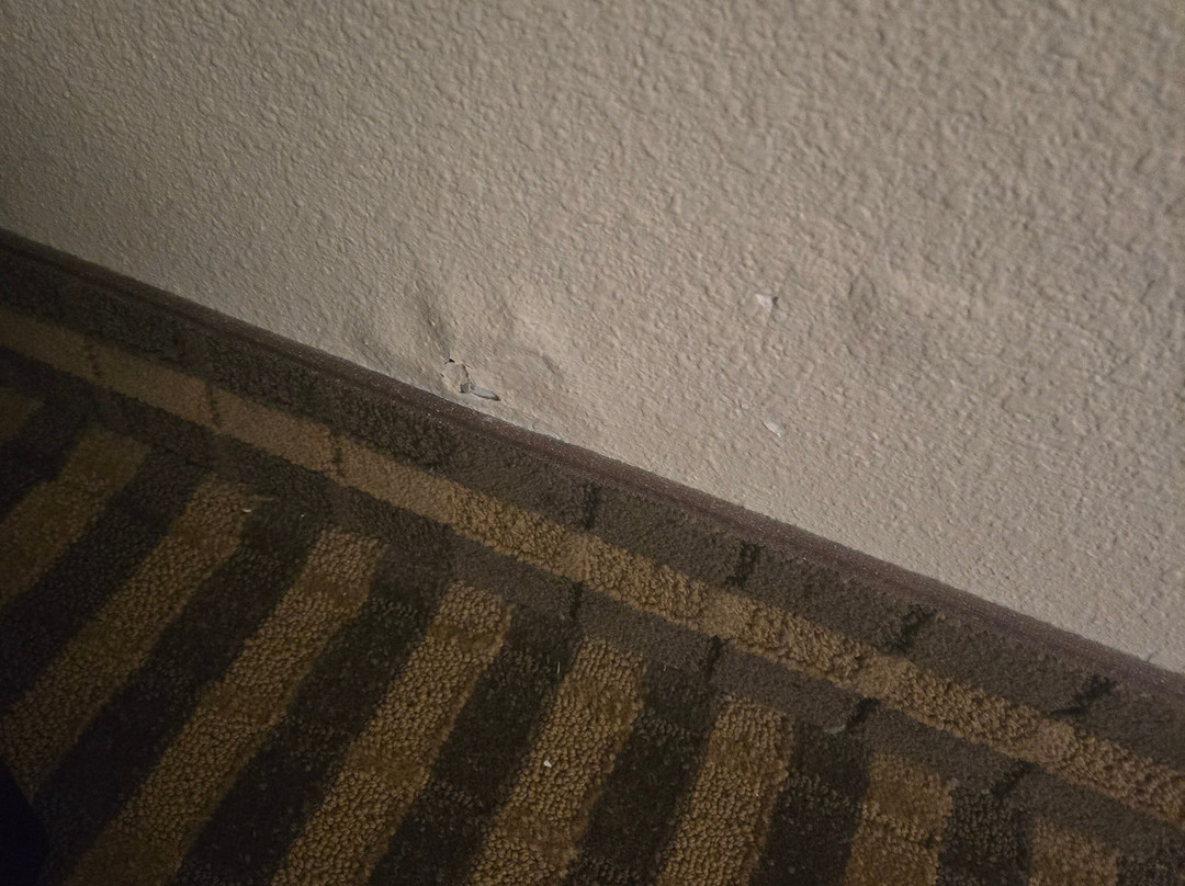 La Quinta Inn & Suites By Wyndham Columbus Grove City主图