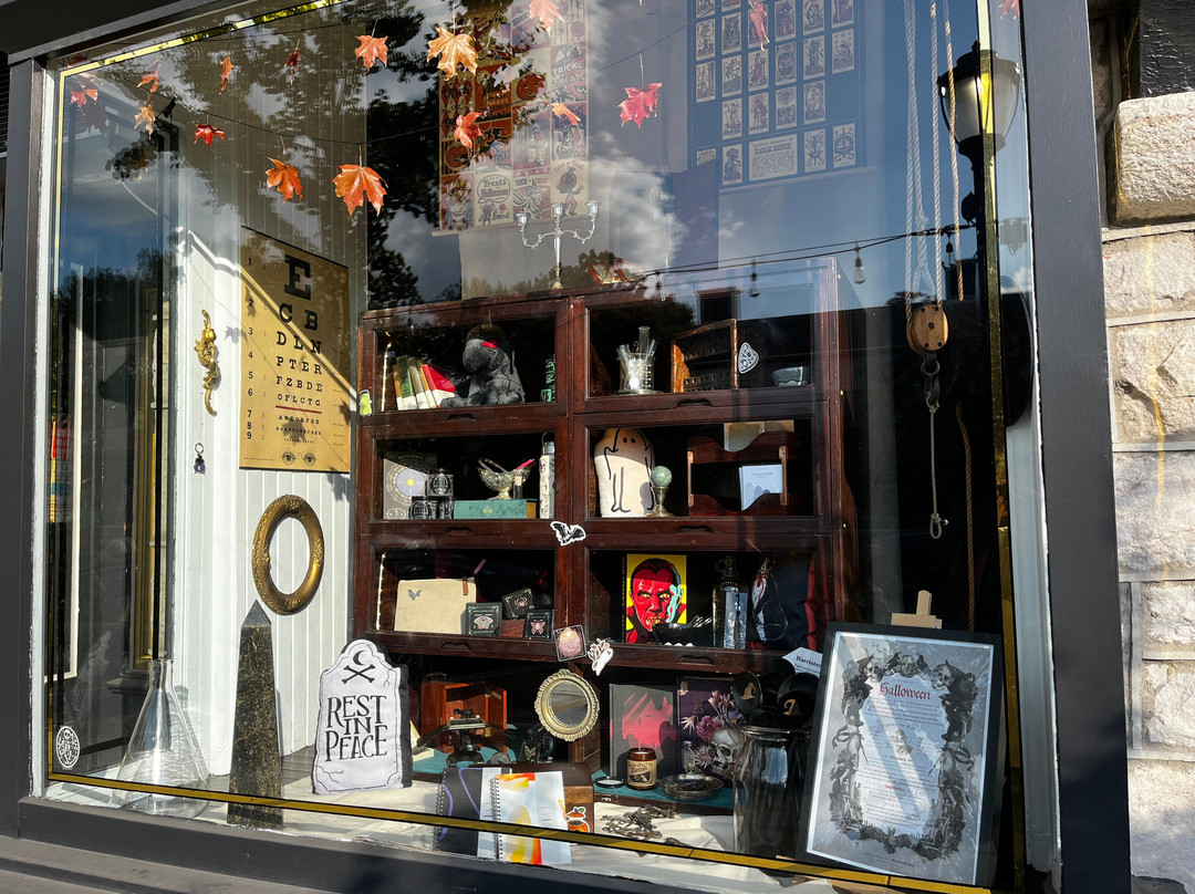 Of Aspen Curated Gifts景点图片