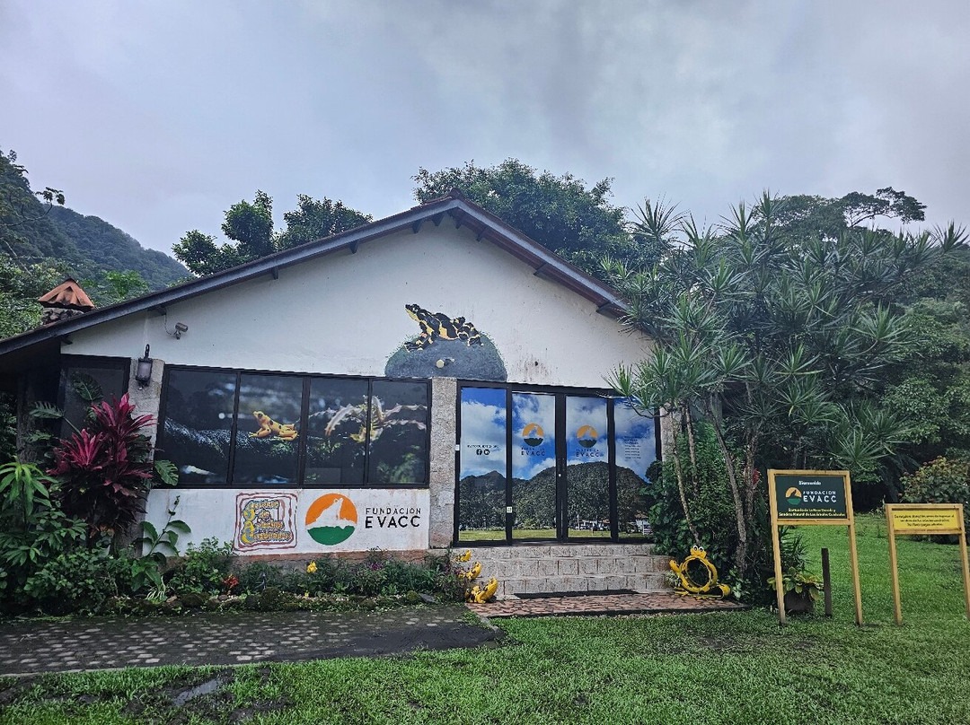 EVACC Foundation - El Valle Amphibian Conservation Center Foundation景点图片