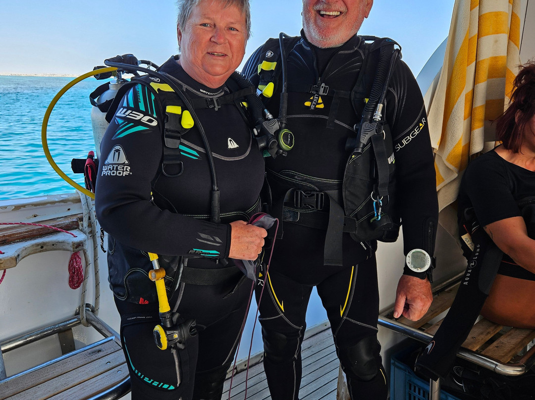 Ducks Diving Safaga-Safaga必去景点