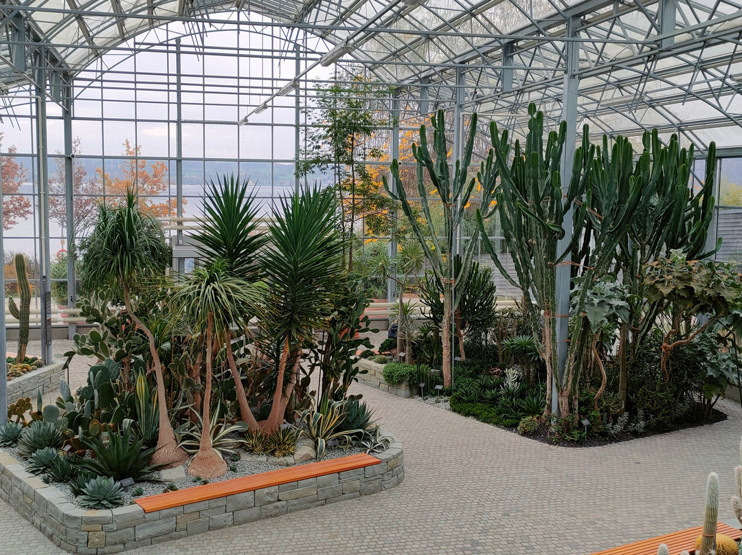 Stadtgarten景点图片