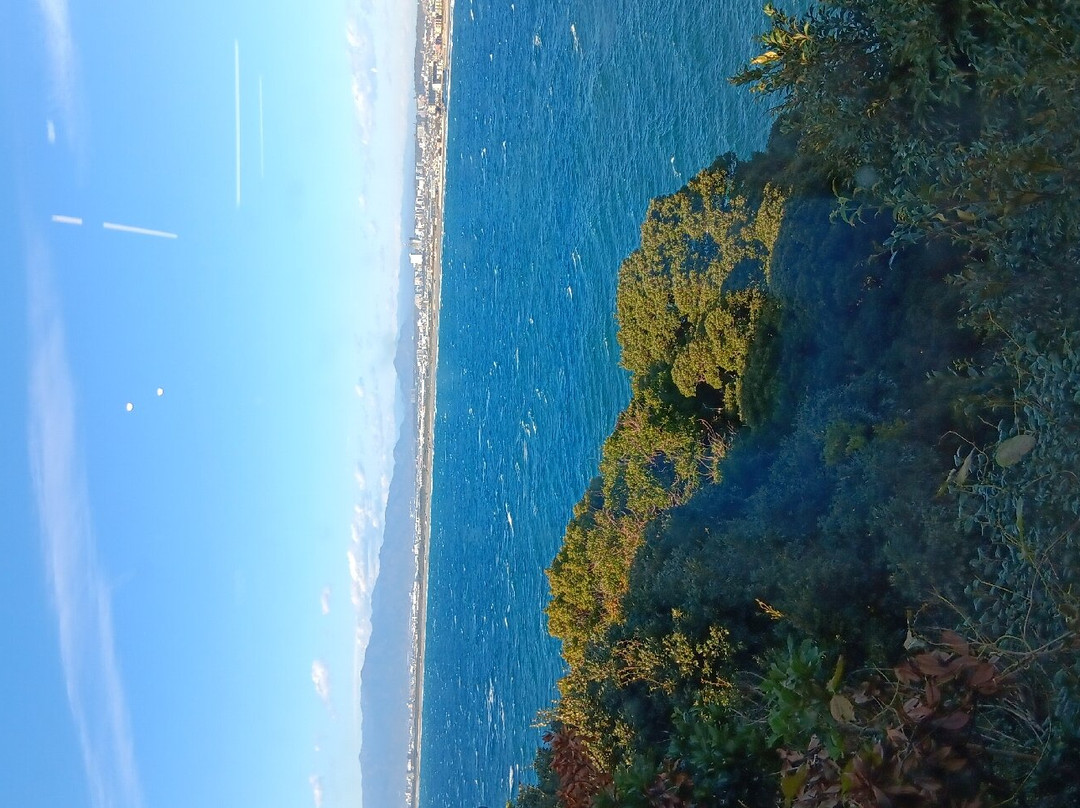 江之岛-藤泽市必去景点