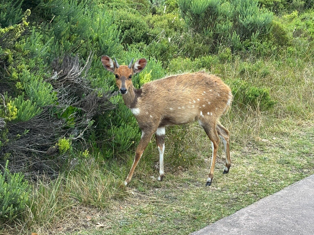 St Francis Golf Lodge主图