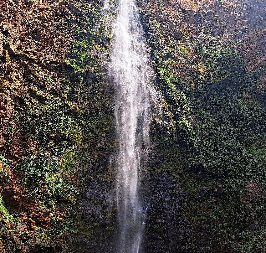 Waterfall Lodge at Wli主图
