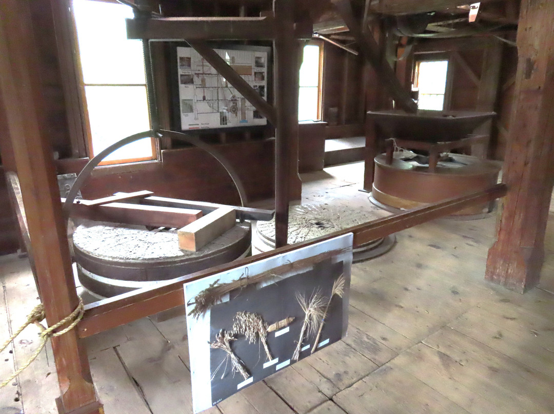 Ball's Falls-林肯必去景点