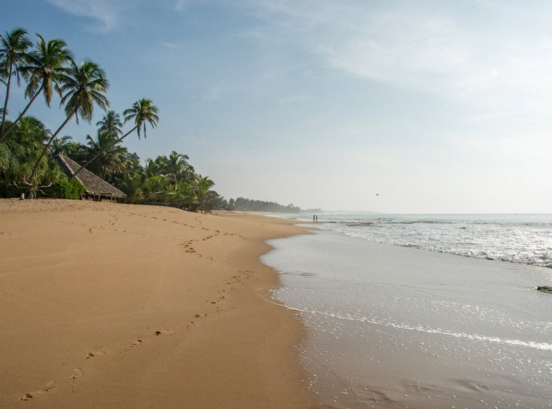 Cinnabar Resort主图