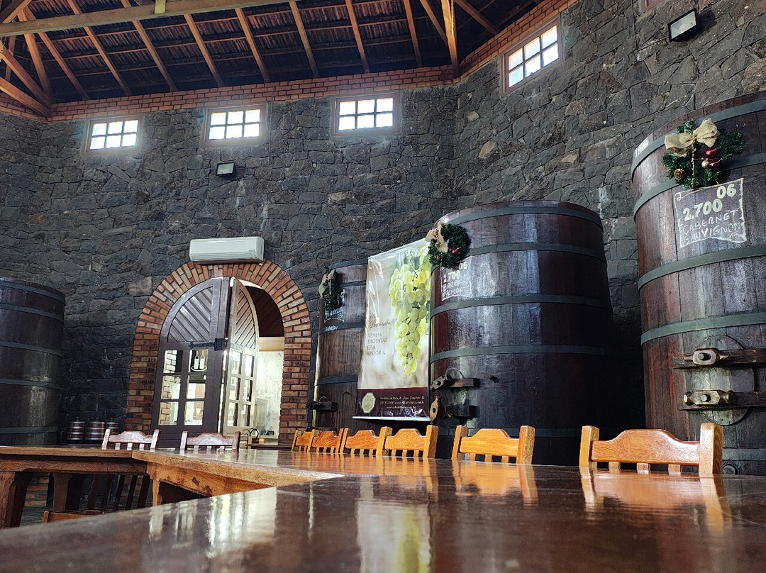Vinicola Salvati & Sirena景点图片