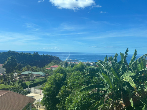 Open Top Double Decker Tours-菲利普斯堡必去景点