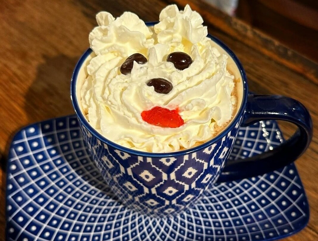 The Hatchling Coffee House By Grey Hawk