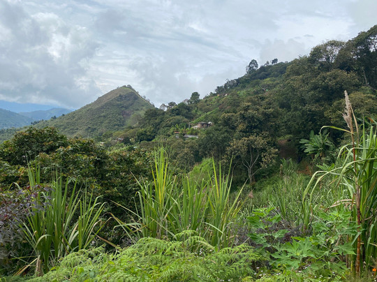 Finca La Arrinconada-麦德林必去景点