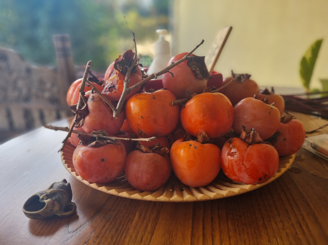 Margit Suites Hotel主图