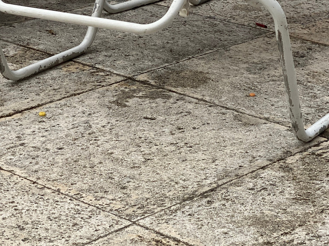 Vivo Beach Club-卡罗来纳必去景点