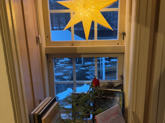 Honse-Lovisas Hus-奥斯陆必去景点