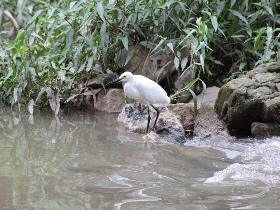 Parque Ecologico Da Pampulha-贝洛哈里桑塔必去景点